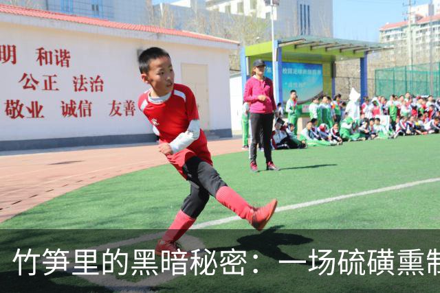 竹笋里的黑暗秘密：一场硫磺熏制的“美味”闹剧